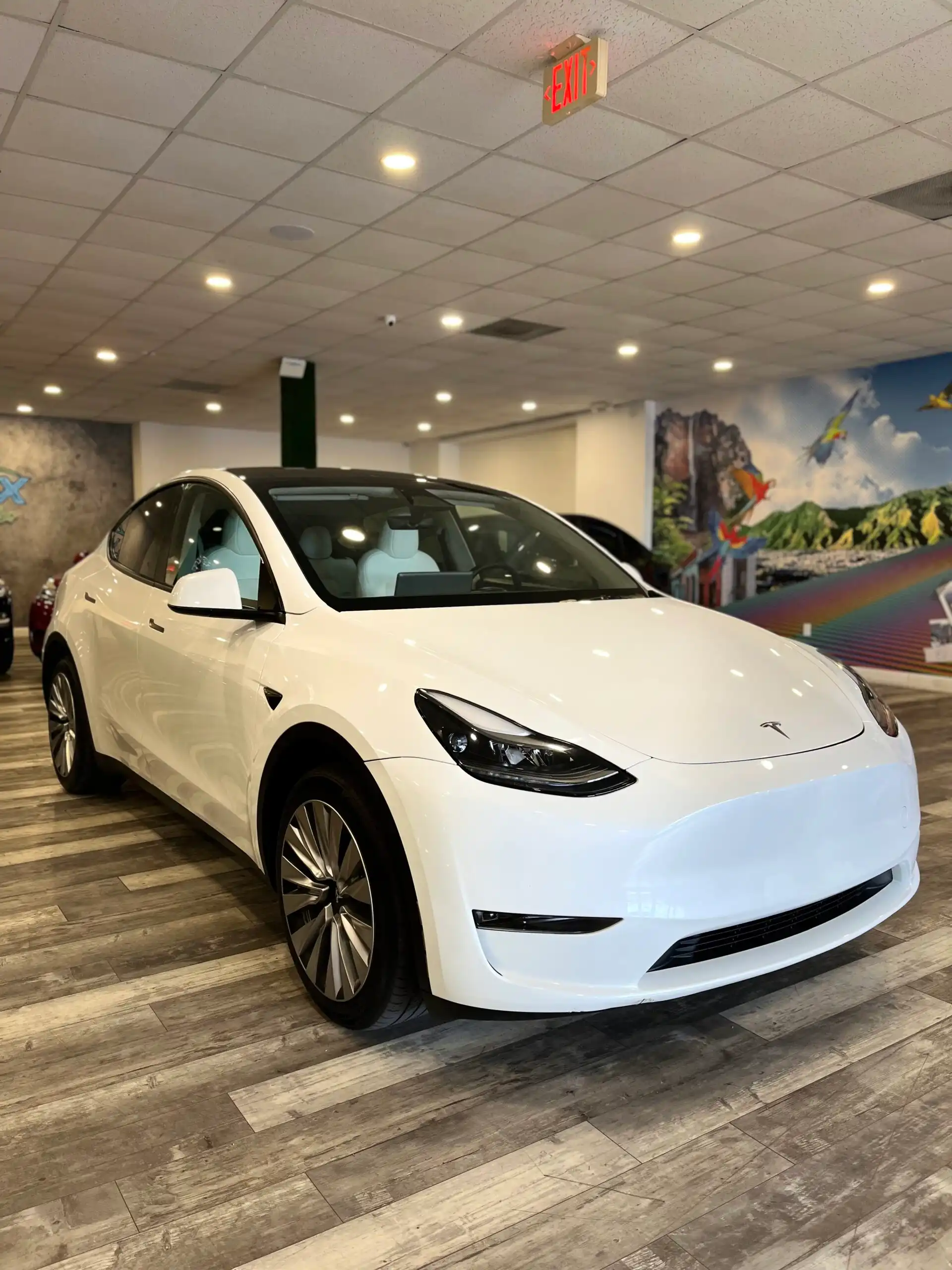 2024 Tesla Model Y Long Range Rear Wheel Drive's photo