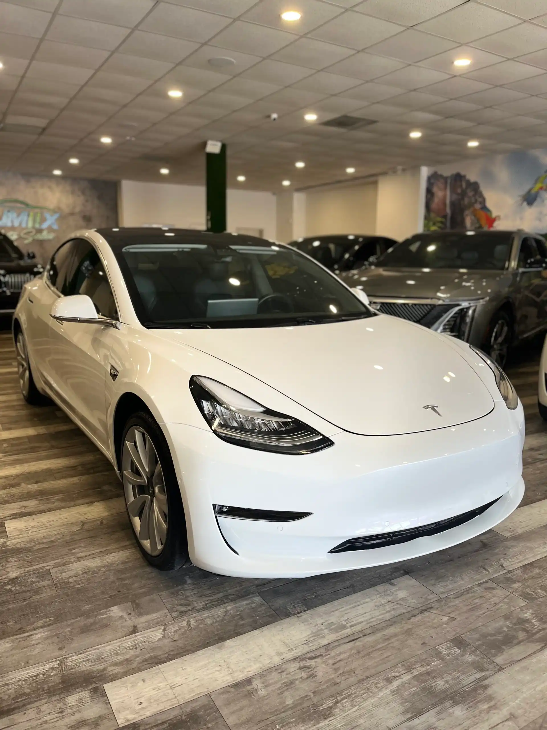 2020 Tesla Model 3 Standard Range Plus's photo