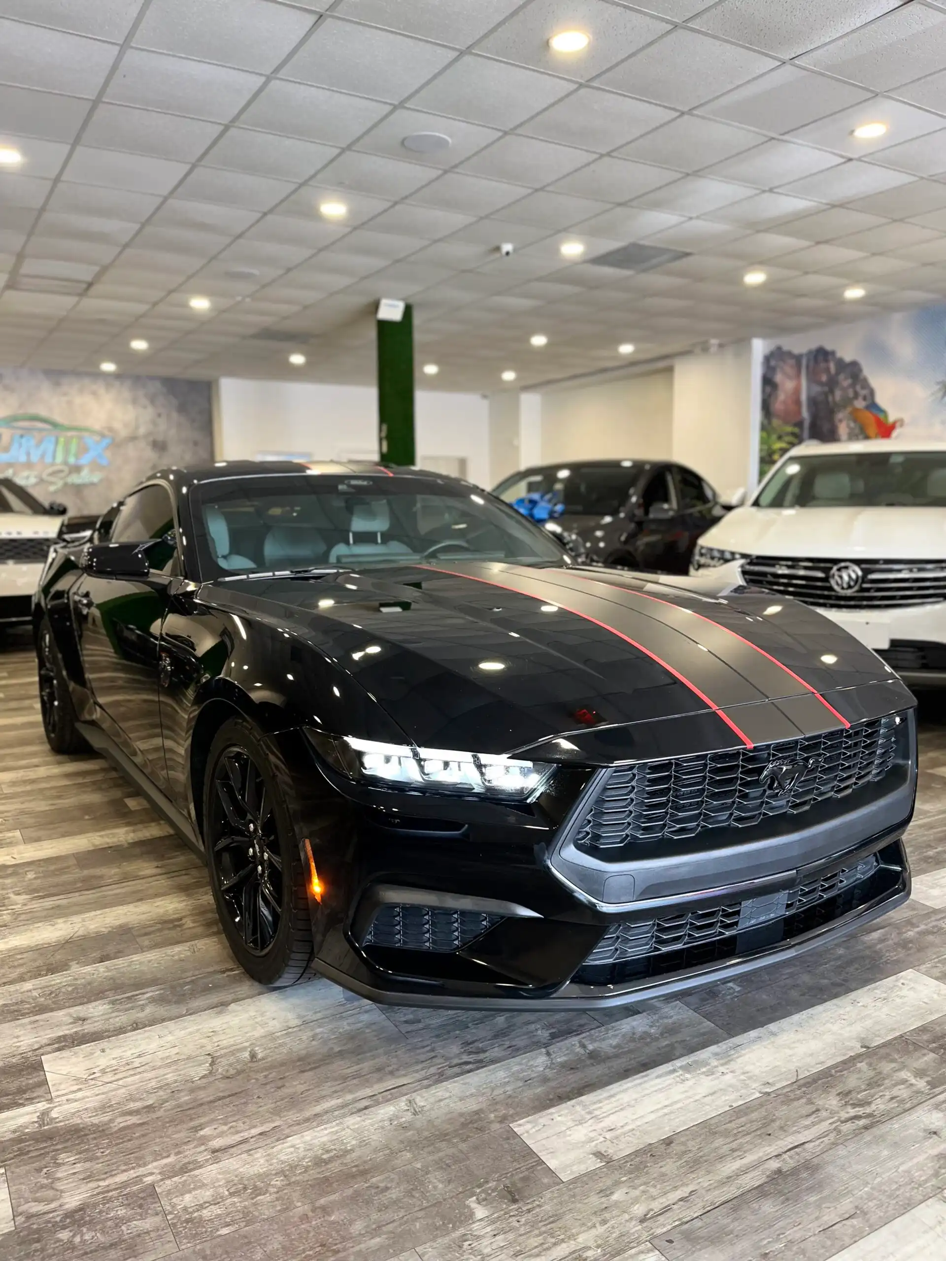 2024 Ford Mustang EcoBoost Fastback's photo
