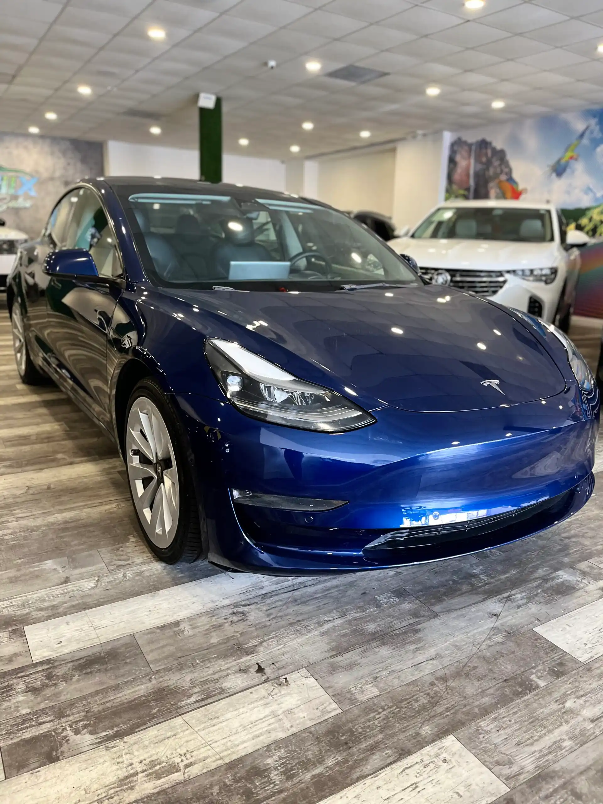 2022 Tesla Model 3 Standard Range Plus's photo