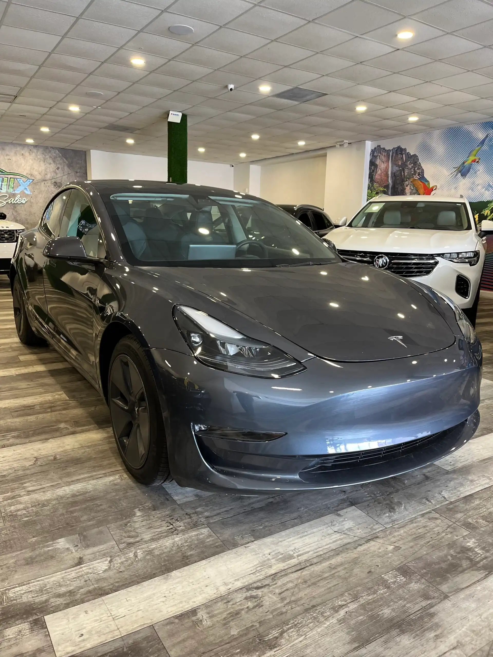 2023 Tesla Model 3 Long Range's photo