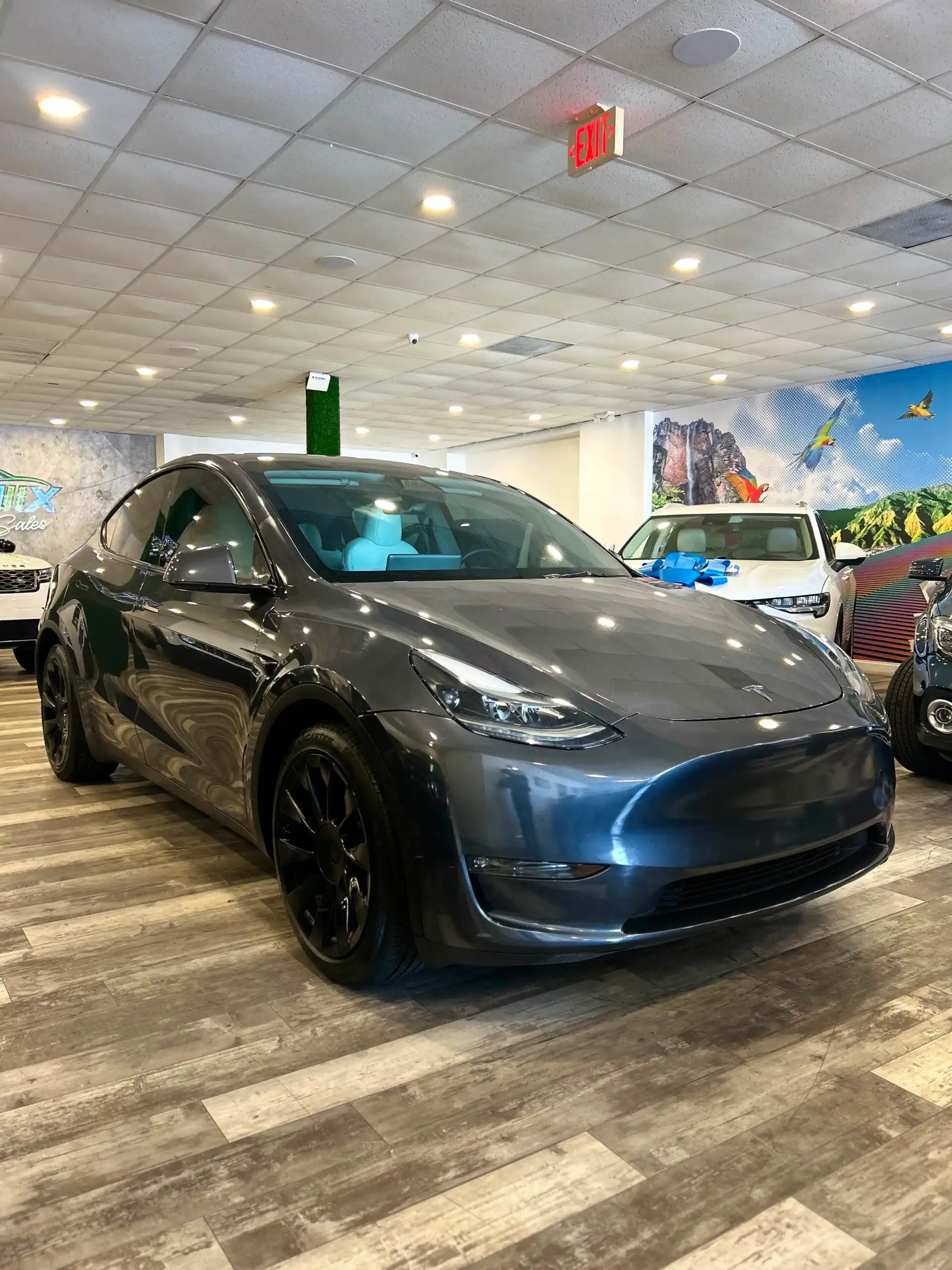 2023 Tesla Model Y Long Range Dual Motor All-Wheel Drive's photo