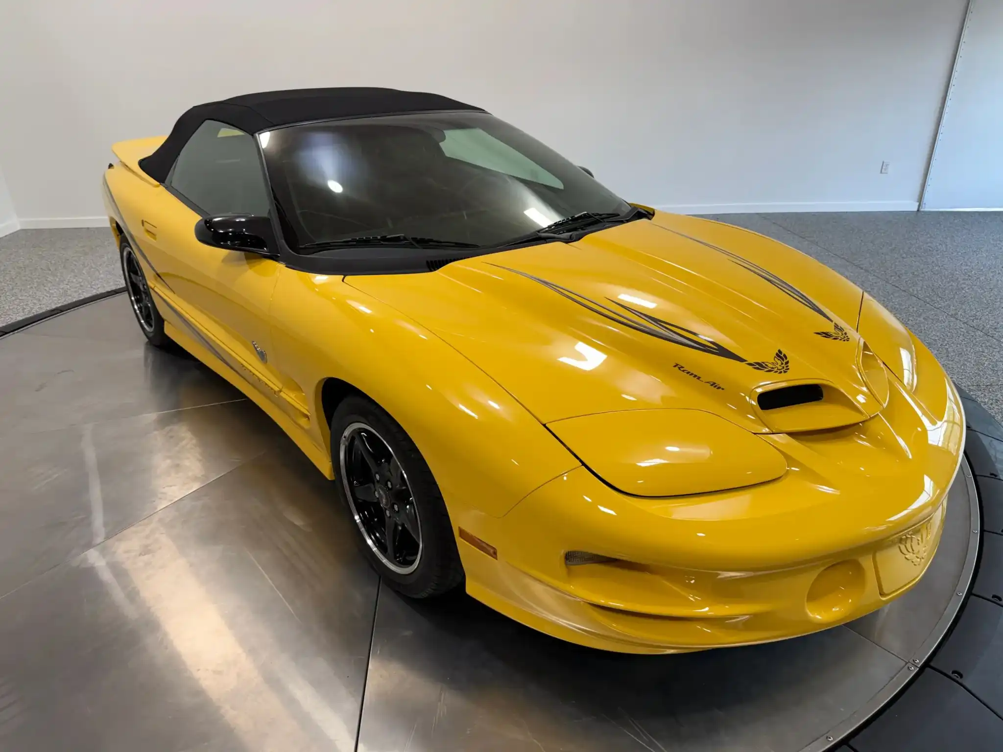 2002 Pontiac Firebird Trans Am's photo