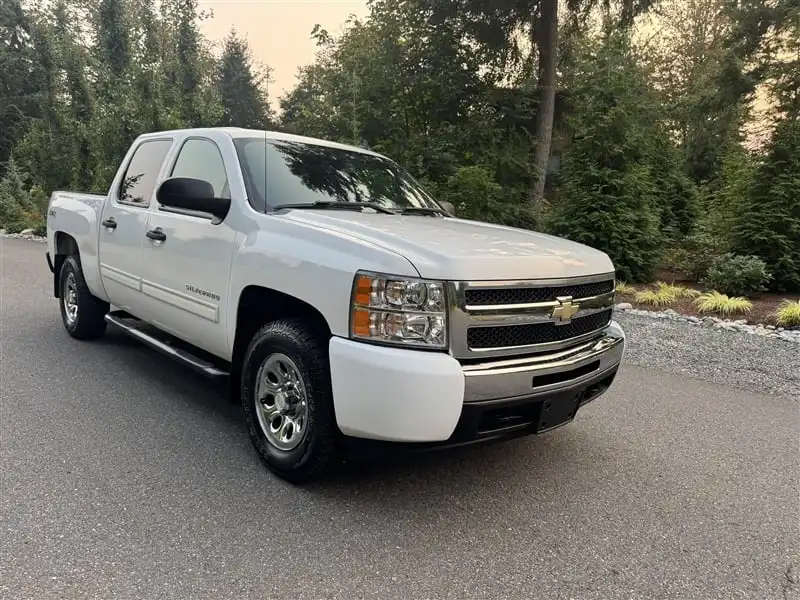 2009 Chevrolet Silverado 1500 LS 4WD Crew Cab's photo