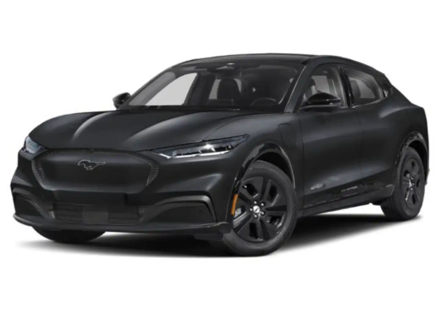 2022 Ford Mustang-Mach-e Select's photo