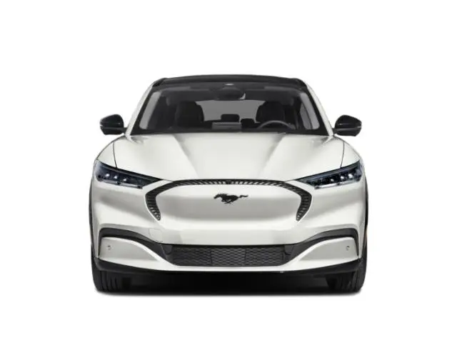 2021 Ford Mustang-Mach-e Select photo 4
