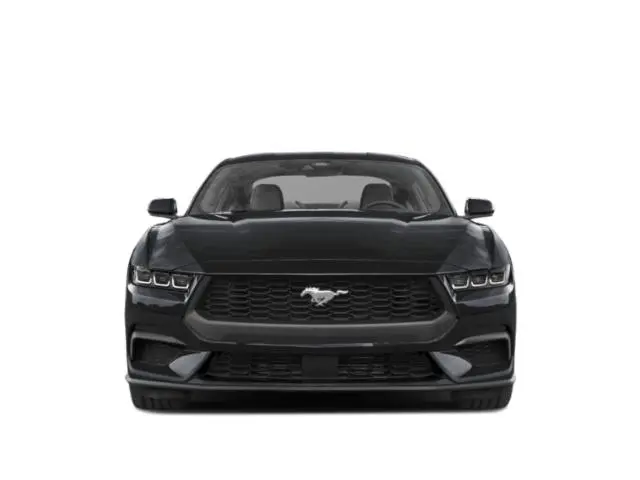 2024 Ford Mustang EcoBoost Fastback photo 4