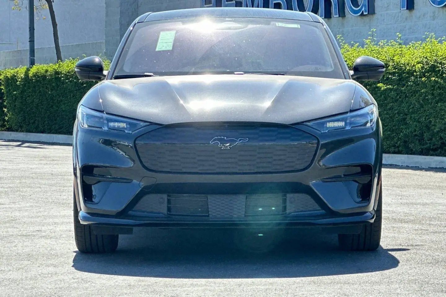 2022 Ford Mustang-Mach-e GT photo 3