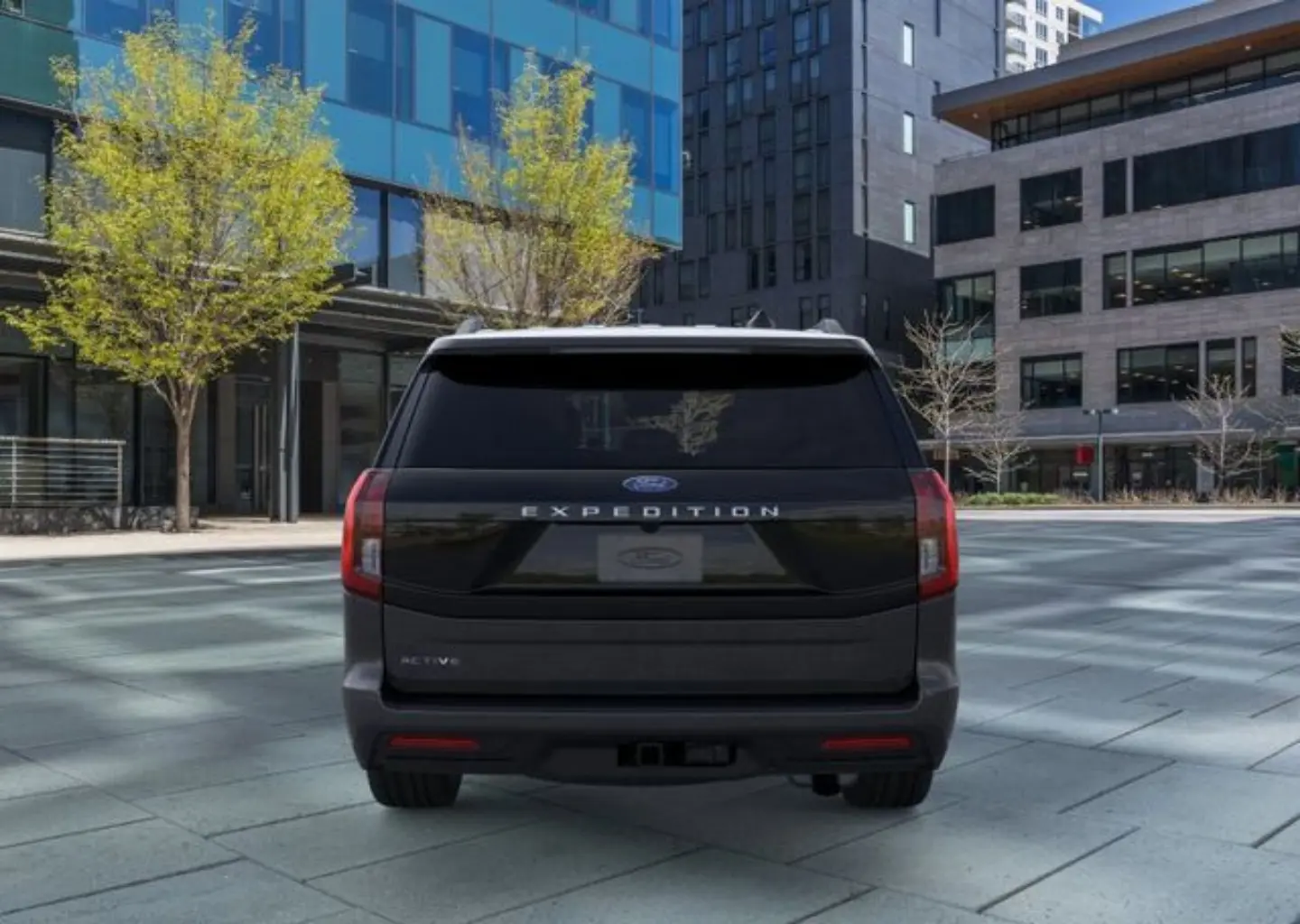 2026 Ford Expedition Active photo 5