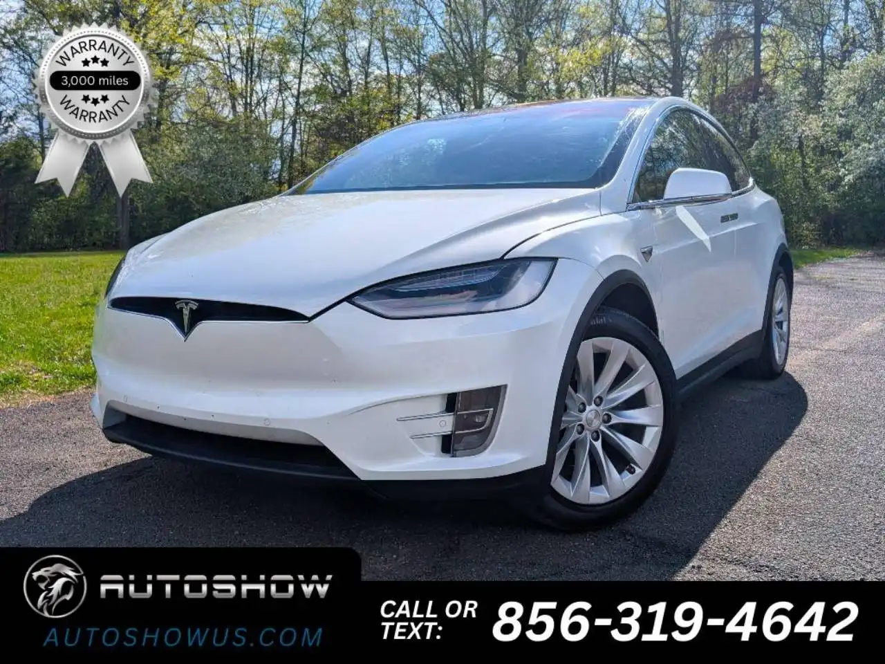 2020 Tesla Model X Long Range Plus's photo