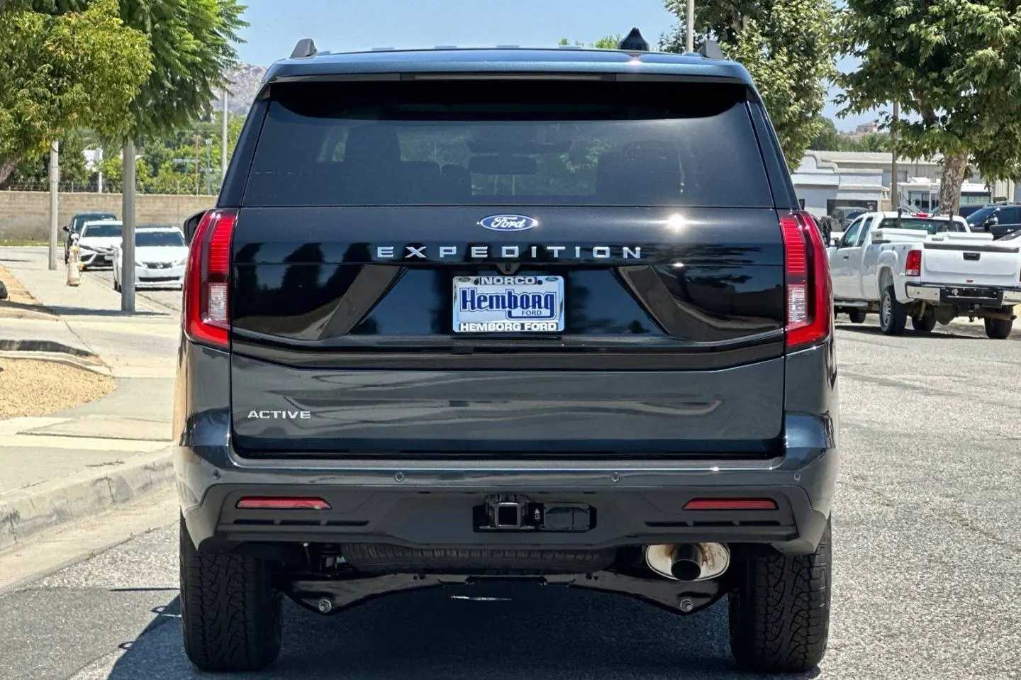 2026 Ford Expedition Active photo 5