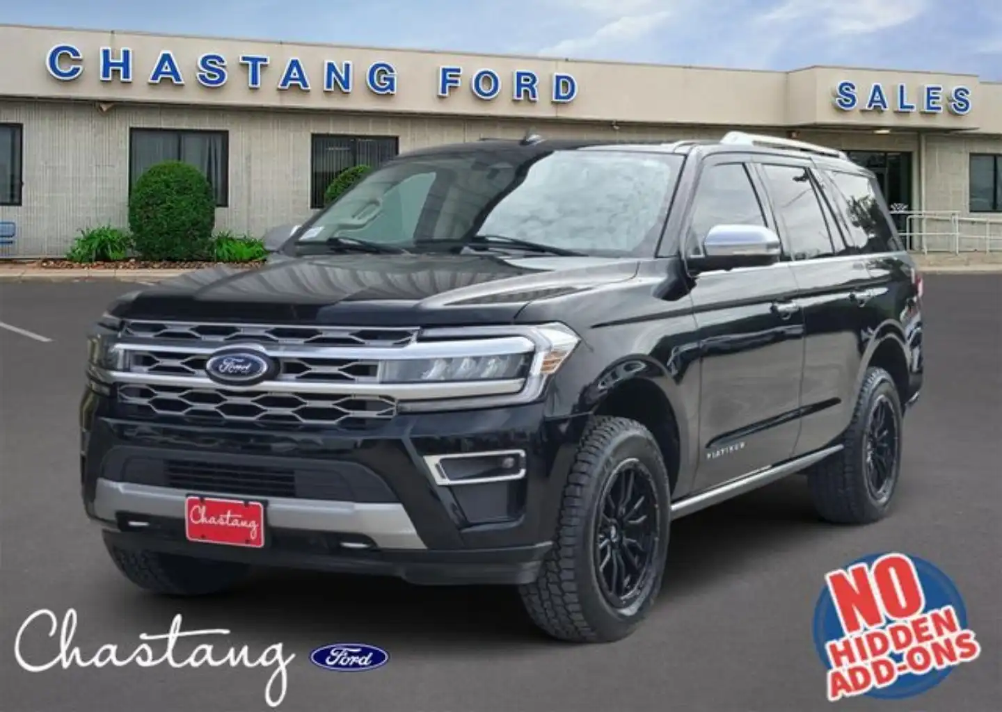 2022 Ford Expedition Platinum 4x4's photo