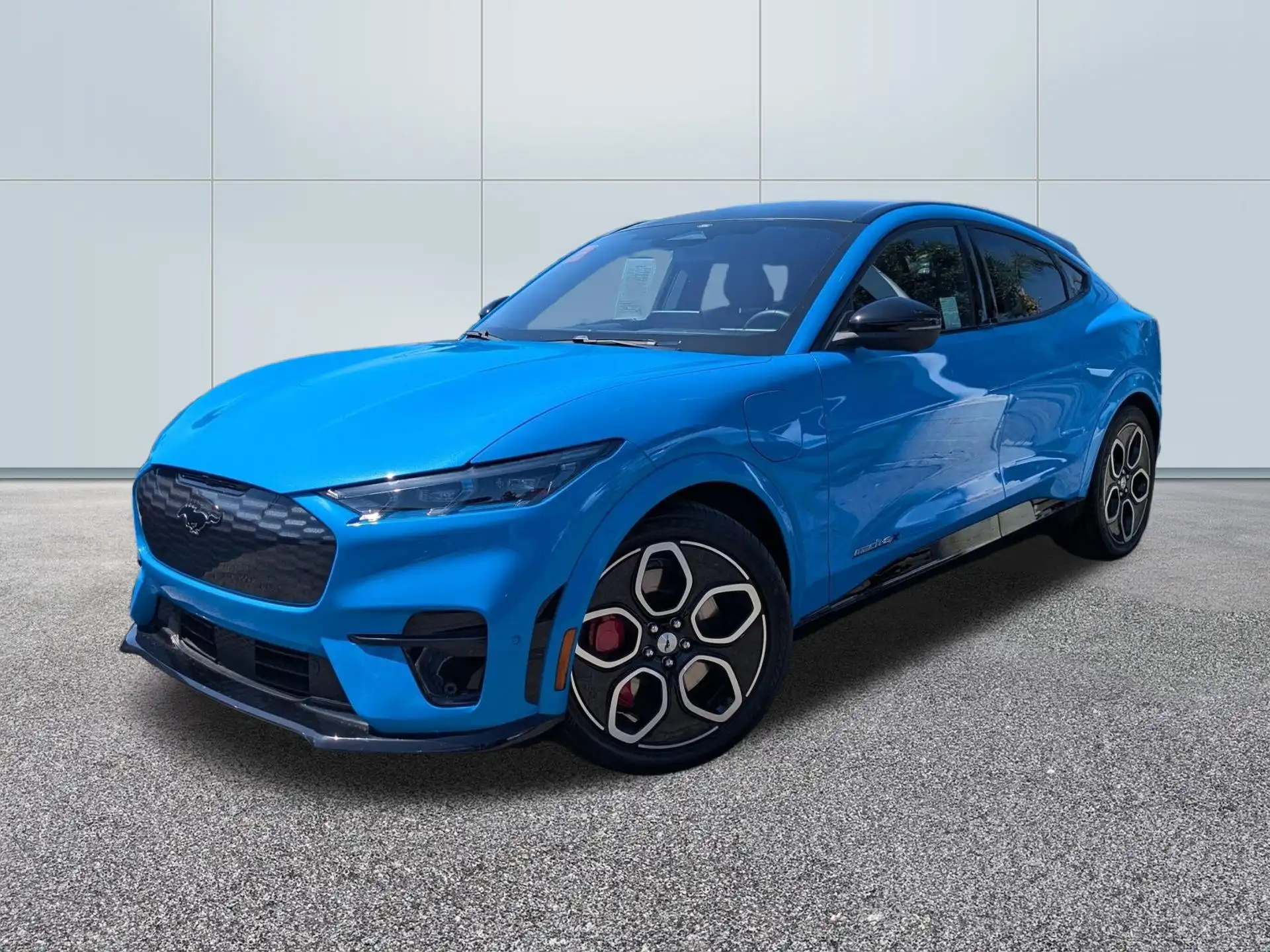 2022 Ford Mustang-Mach-e GT's photo