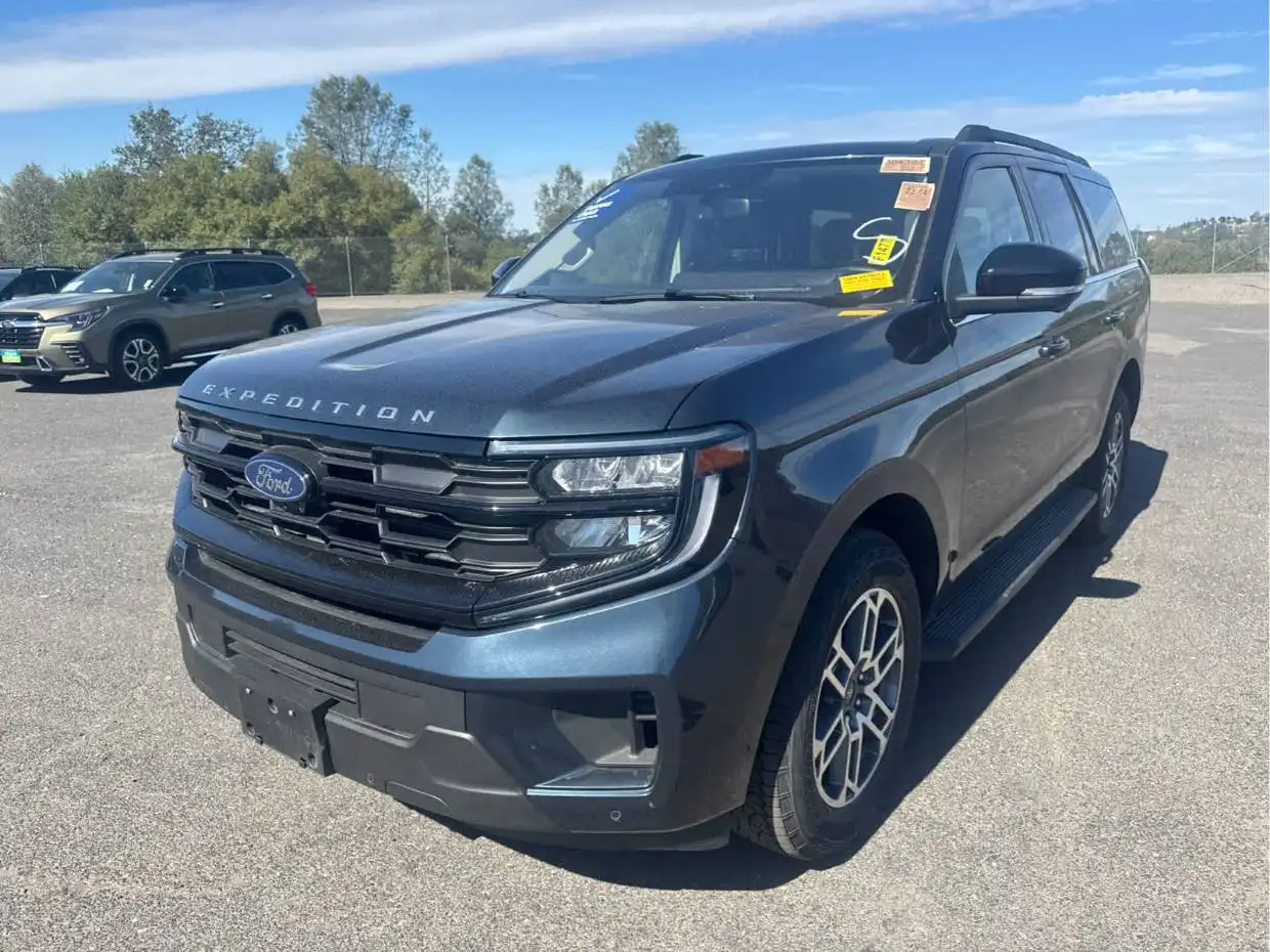 2025 Ford Expedition Active 4x4's photo