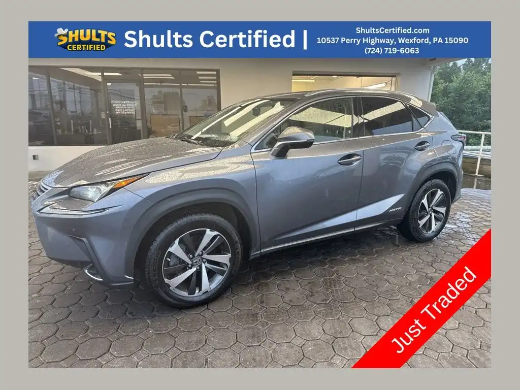 2020 Lexus NX 350h 300h AWD's photo