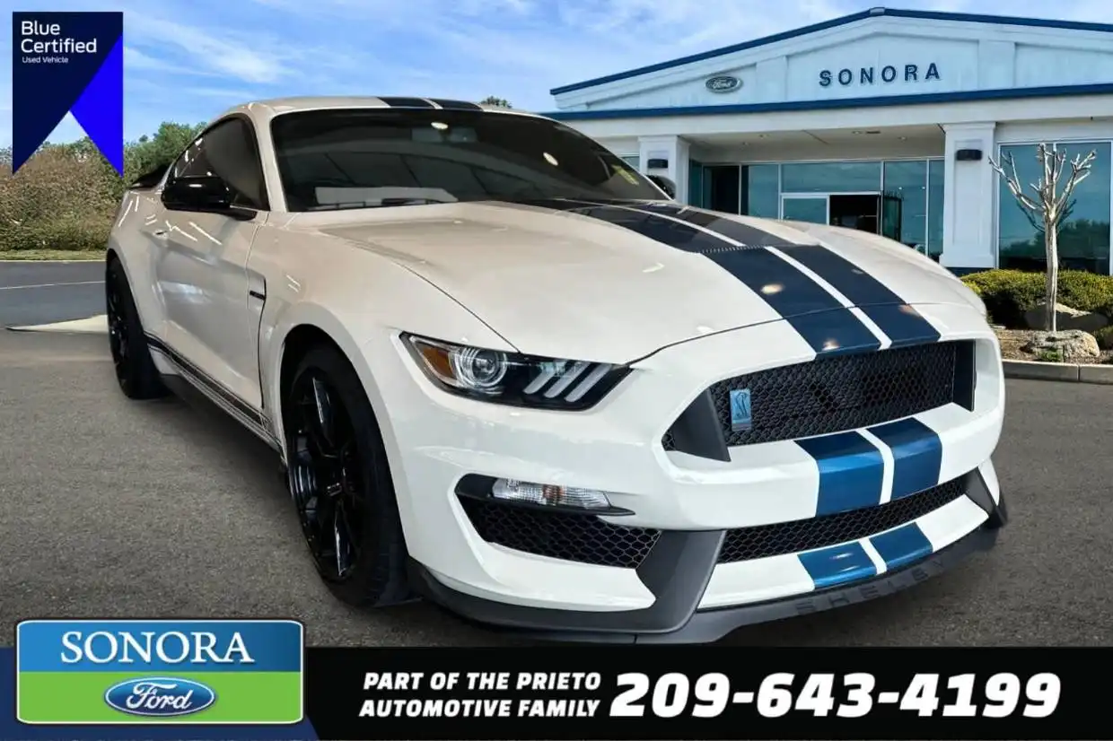 2020 Ford Mustang Shelby GT350's photo