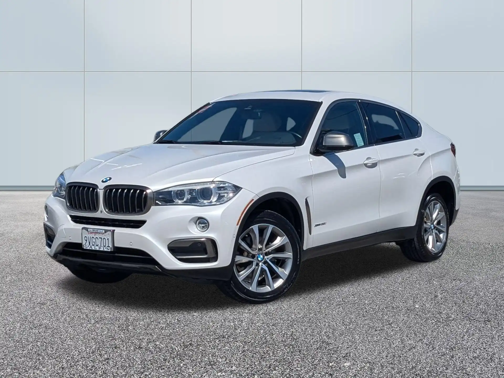 2019 BMW X6 xDrive35i's photo