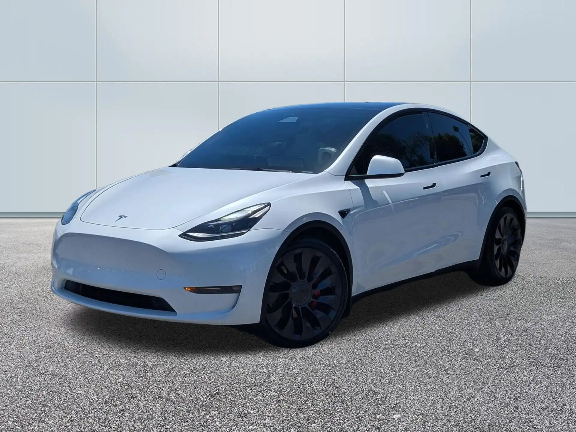 2023 Tesla Model Y Performance Dual Motor All-Wheel Drive's photo