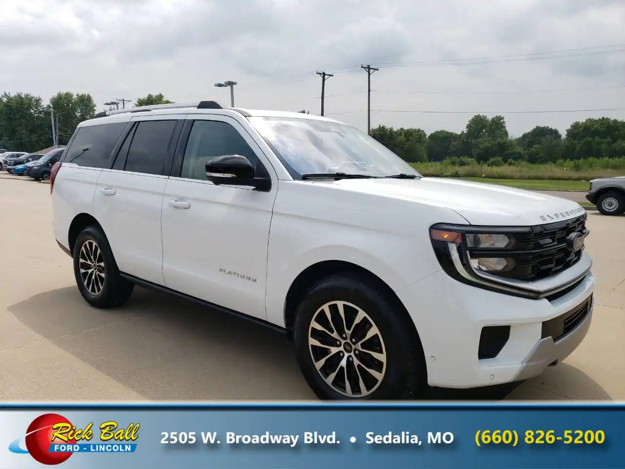 2025 Ford Expedition Platinum 4x4's photo