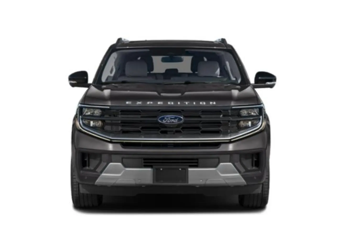 2027 Ford Expedition Platinum 4x2 photo 4