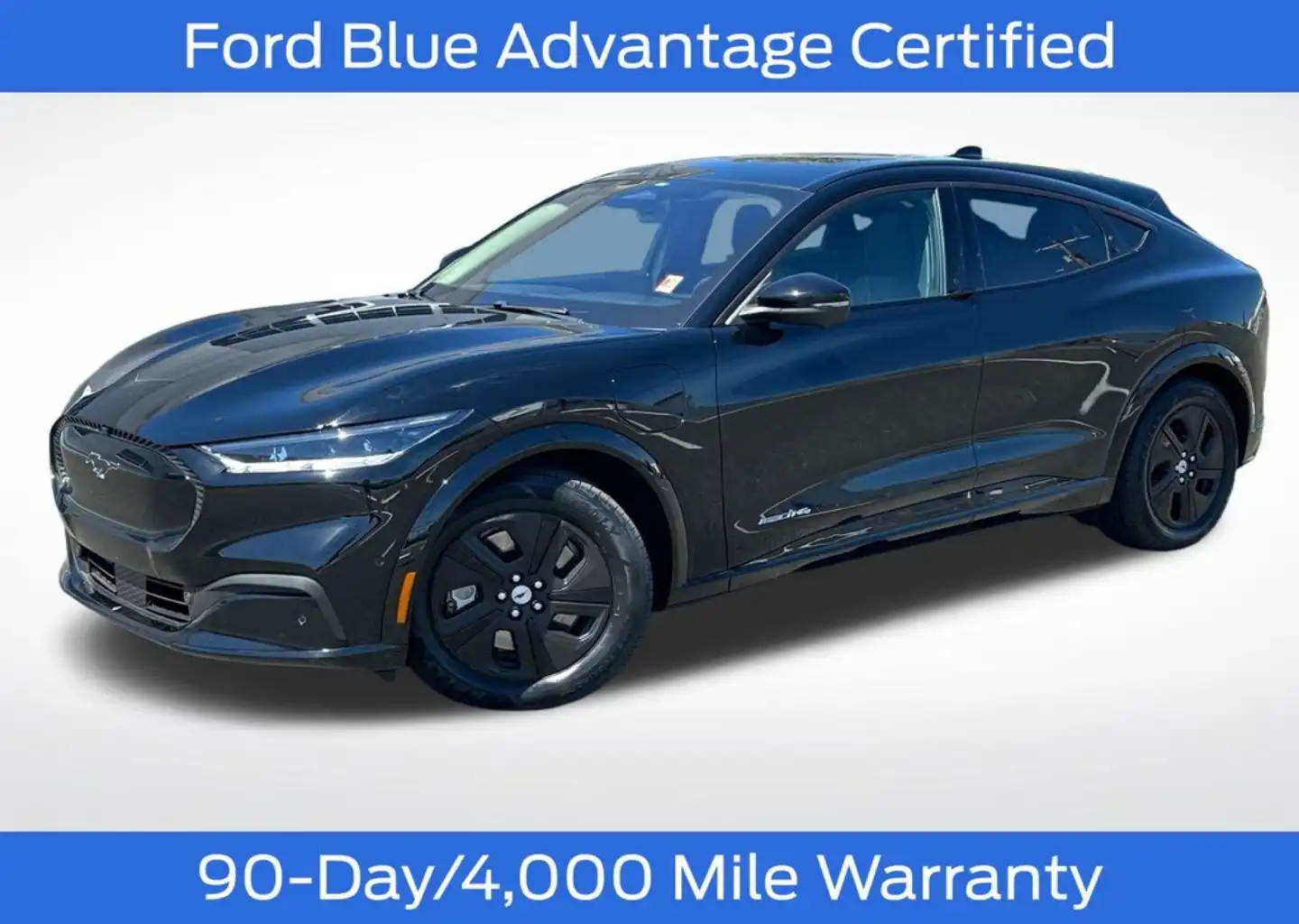 2023 Ford Mustang-Mach-e California Route 1's photo