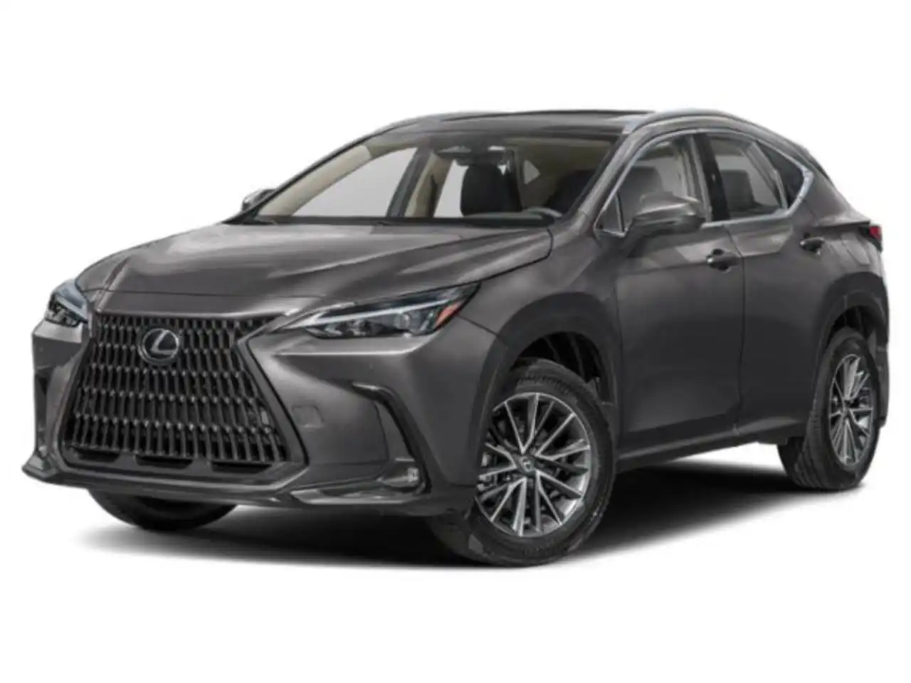 2024 Lexus NX 350 350 AWD's photo