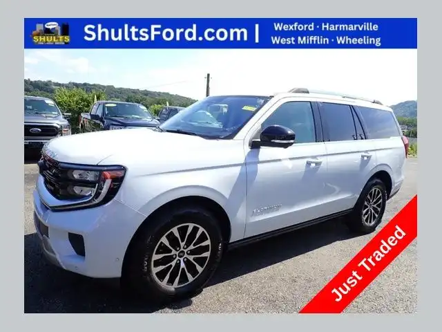 2025 Ford Expedition Platinum 4x4's photo