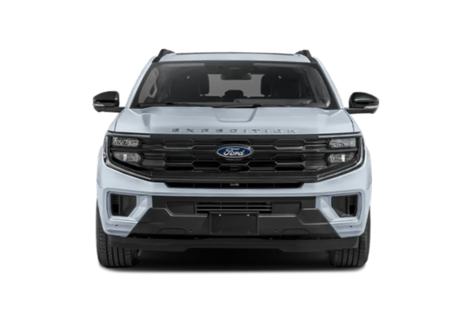 2025 Ford Expedition Active 4WD photo 4