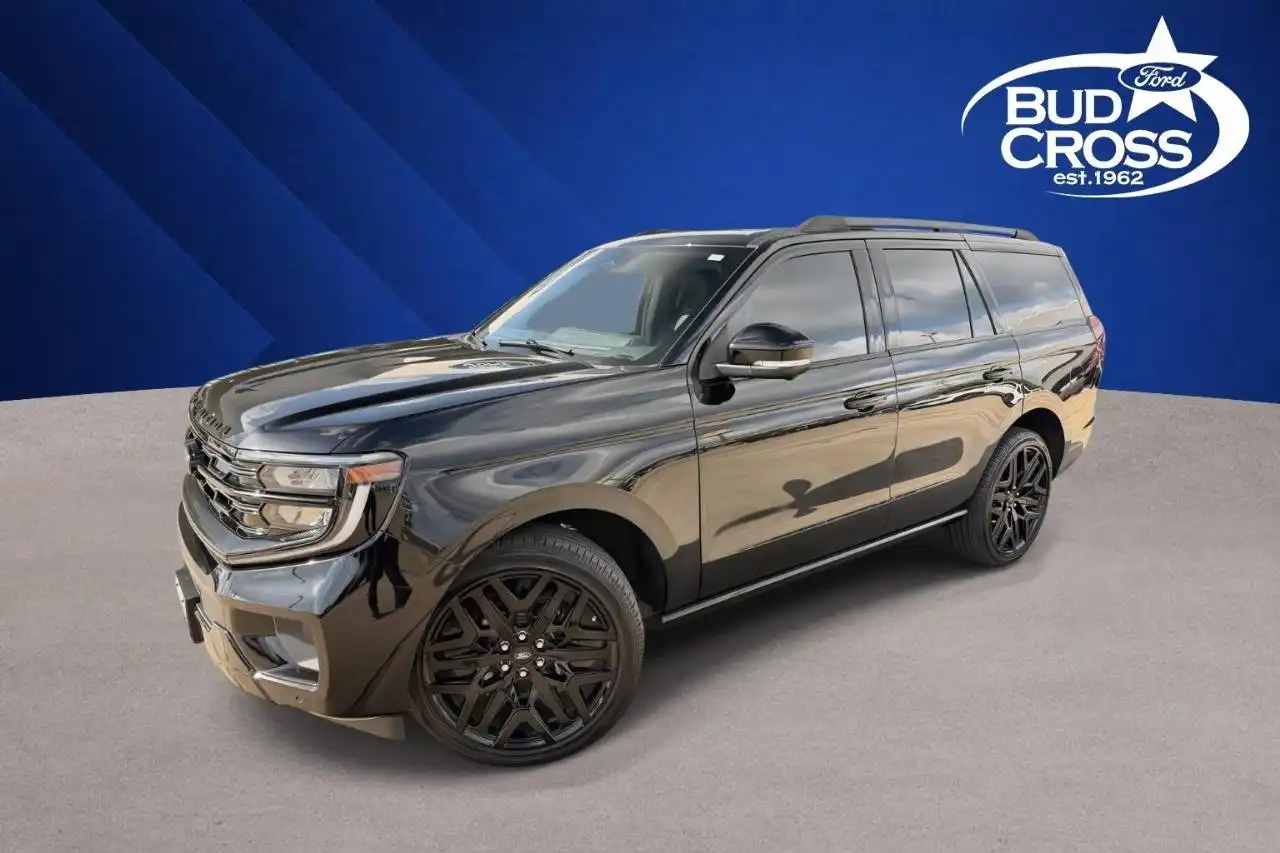2026 Ford Expedition Platinum 4x4's photo
