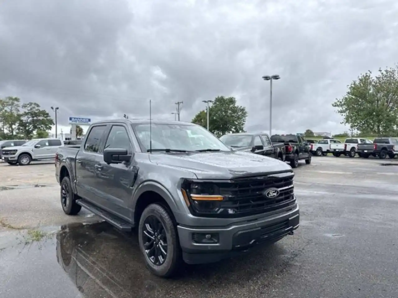 2026 Ford F-150 XLT 4x4 SuperCrew 5-1/2 Box's photo