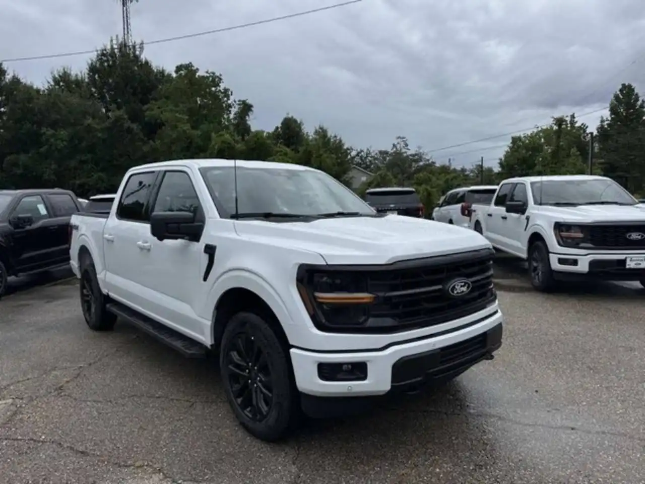 2026 Ford F-150 XLT 4x4 SuperCrew 5-1/2 Box's photo