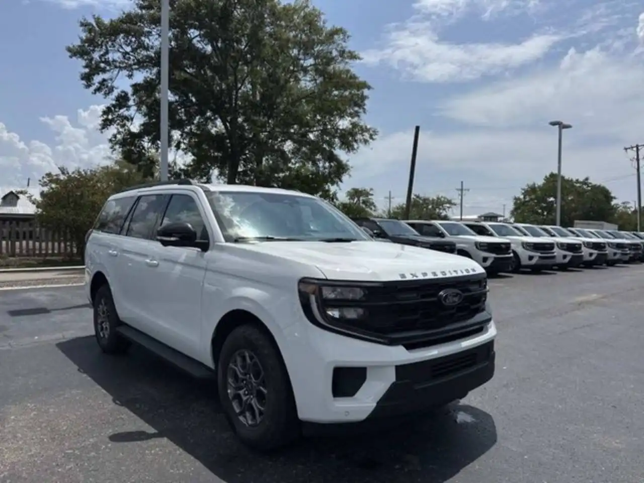 2026 Ford Expedition Active's photo