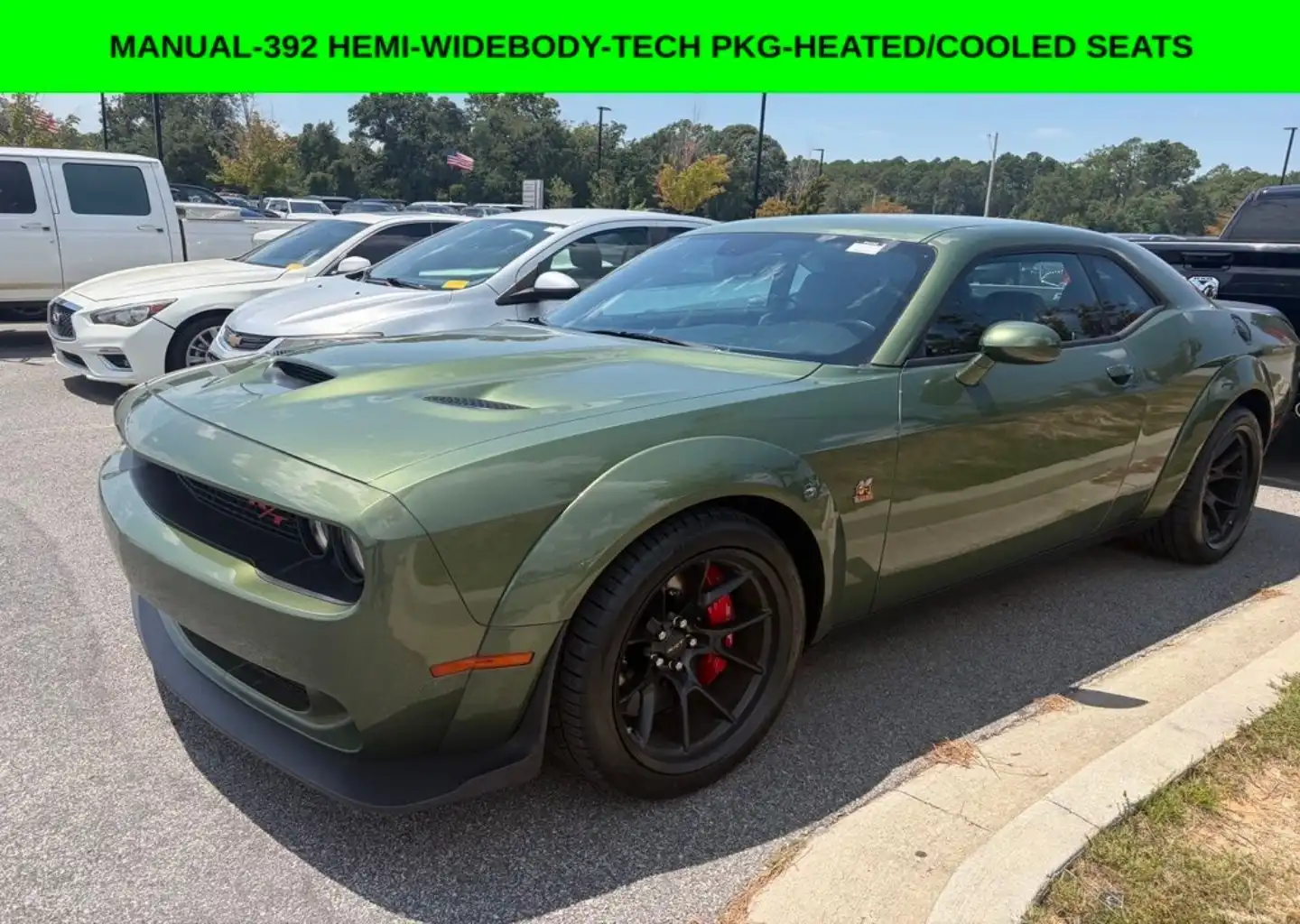 2023 Dodge Challenger R/T Scat Pack Widebody's photo