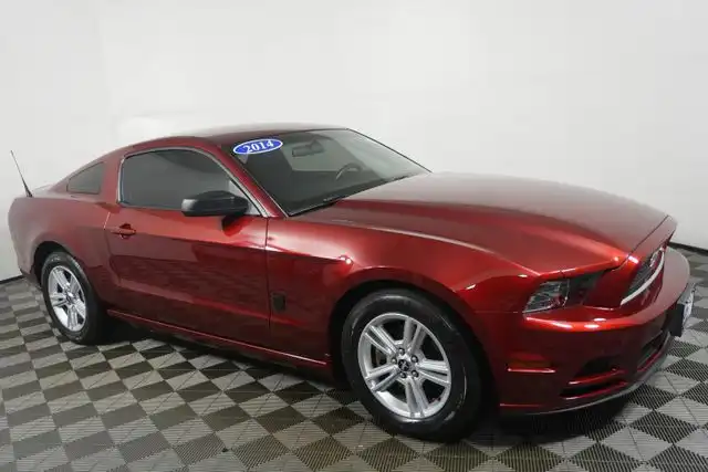 2014 Ford Mustang V6's photo
