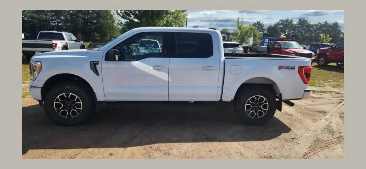2023 Ford F-150 XLT 4WD SuperCrew 145 in's photo