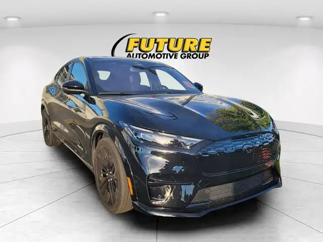 2025 Ford Mustang-Mach-e GT's photo
