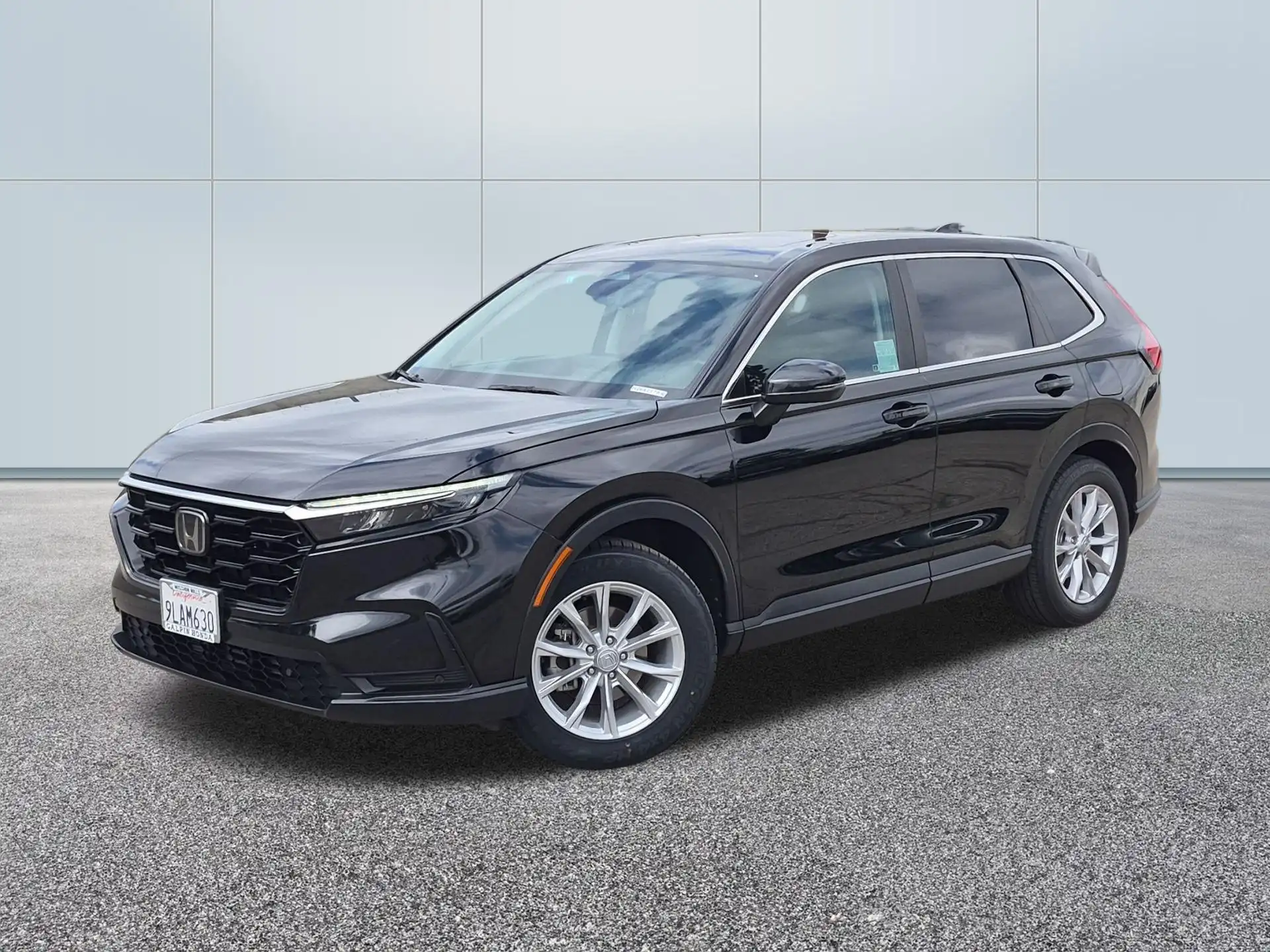 2024 Honda CR-V EX-L AWD's photo