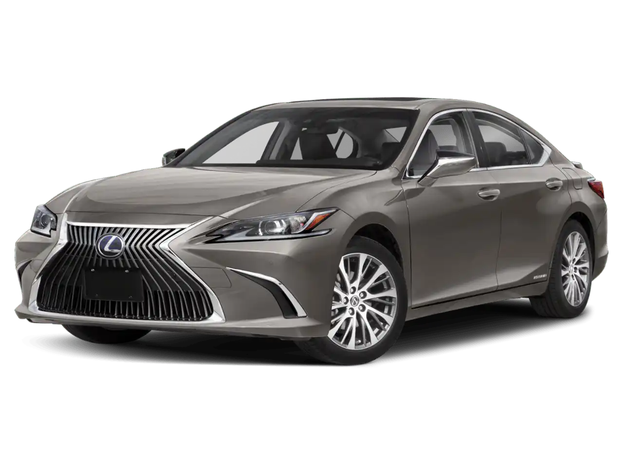 2019 Lexus ES 300h 300h Luxury's photo
