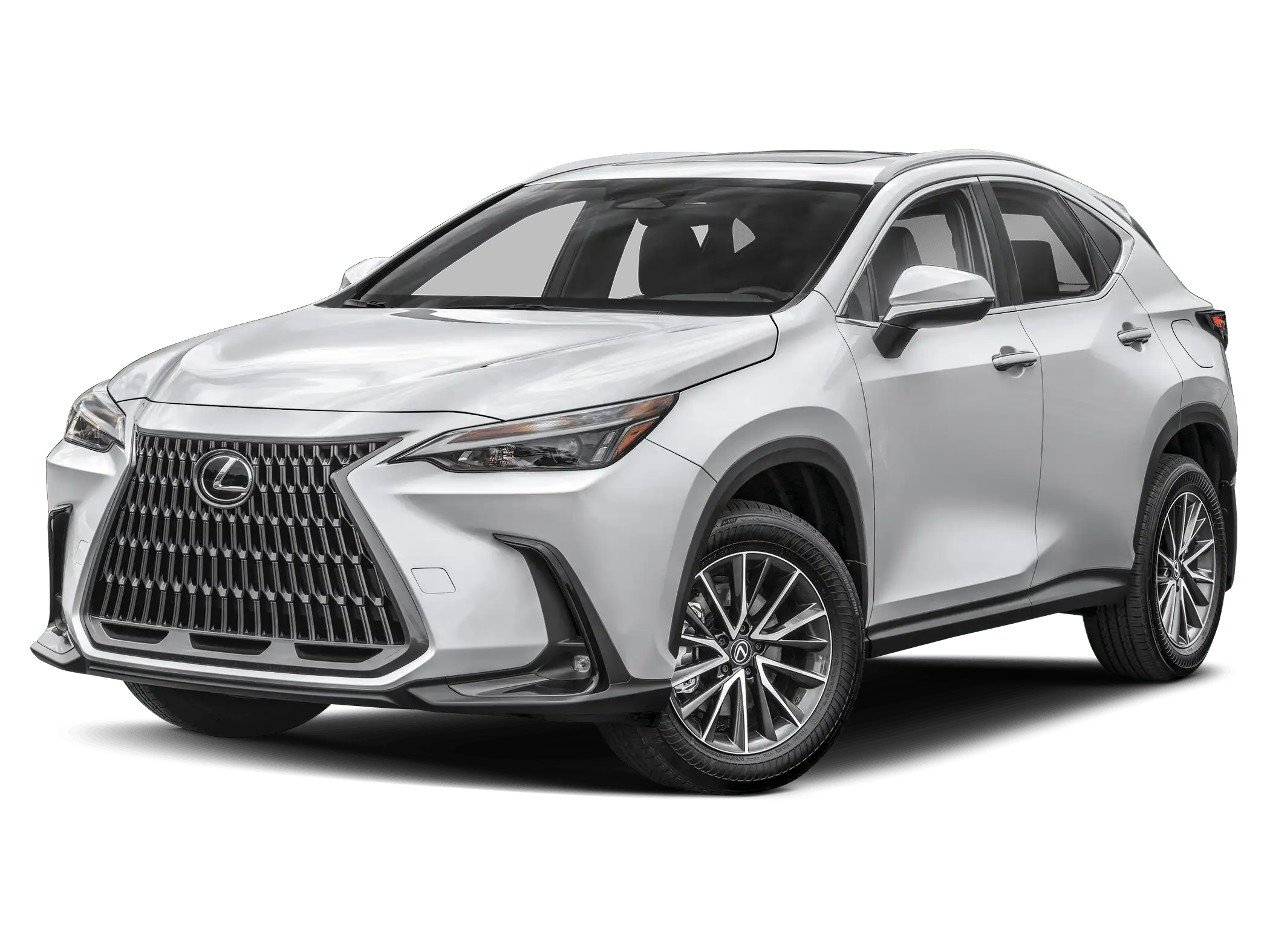 2025 Lexus NX 350h 350h Premium AWD's photo