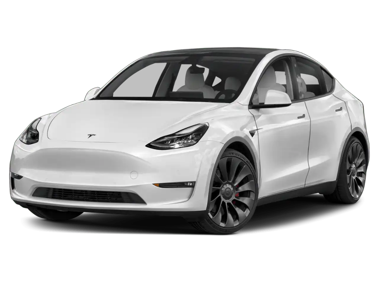 2023 Tesla Model Y Long Range Dual Motor All-Wheel Drive's photo