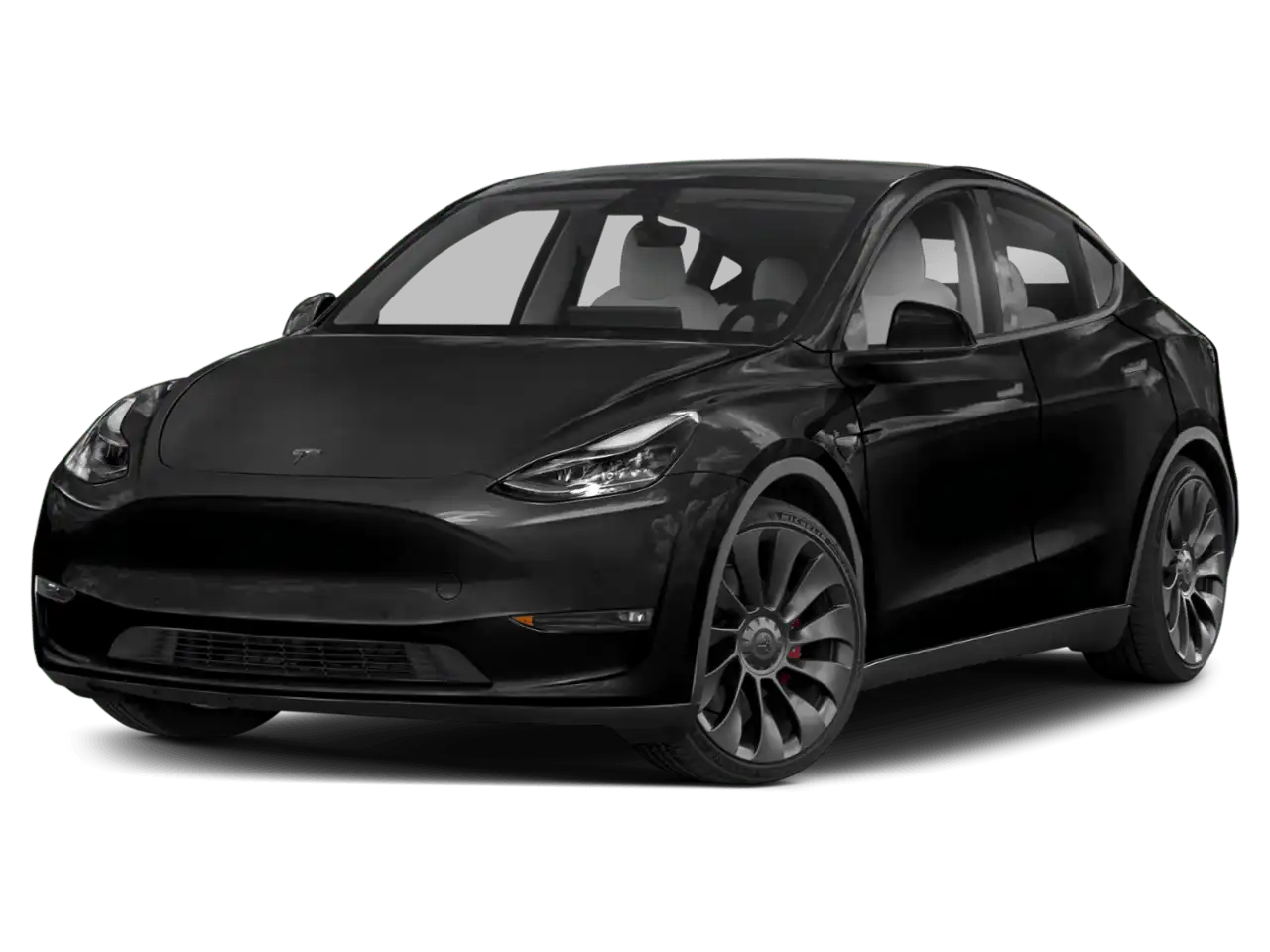 2023 Tesla Model Y Long Range Dual Motor All-Wheel Drive's photo