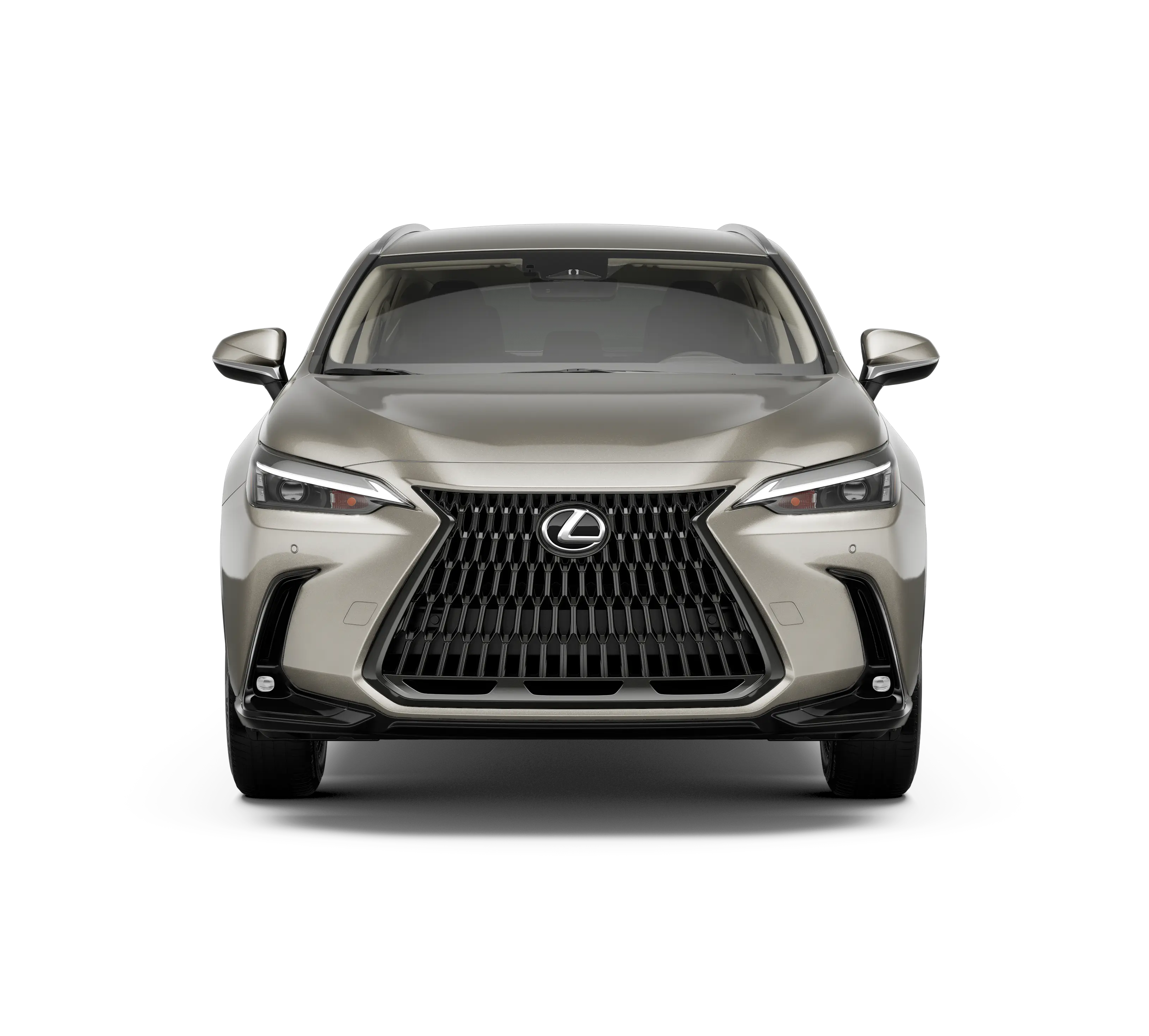 2026 Lexus NX 350 350 AWD photo 5