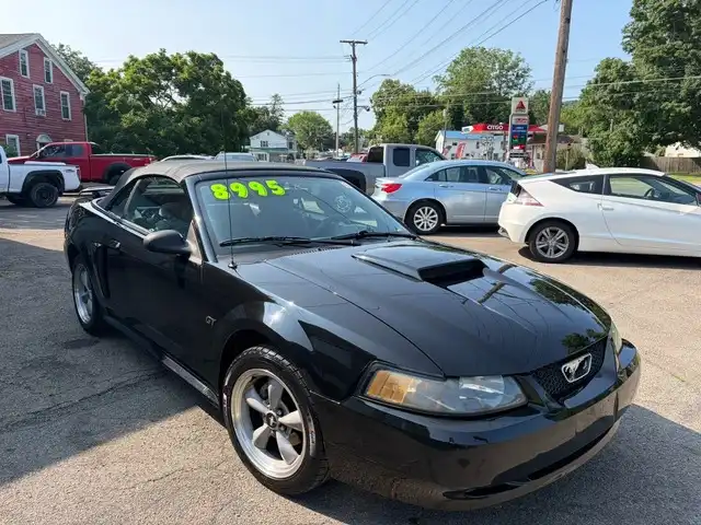 2001 Ford Mustang GT 180A's photo
