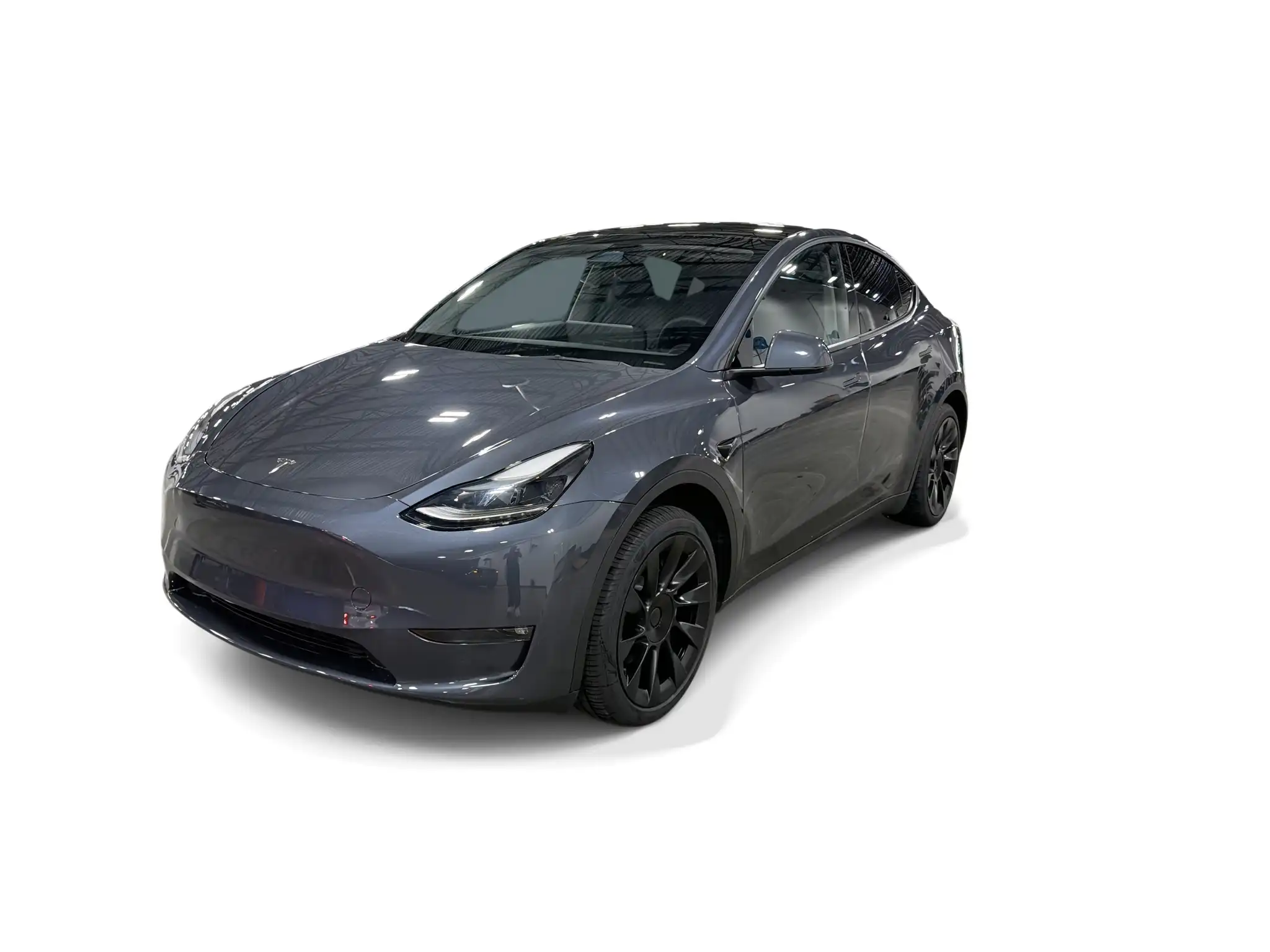 2023 Tesla Model Y RWD's photo