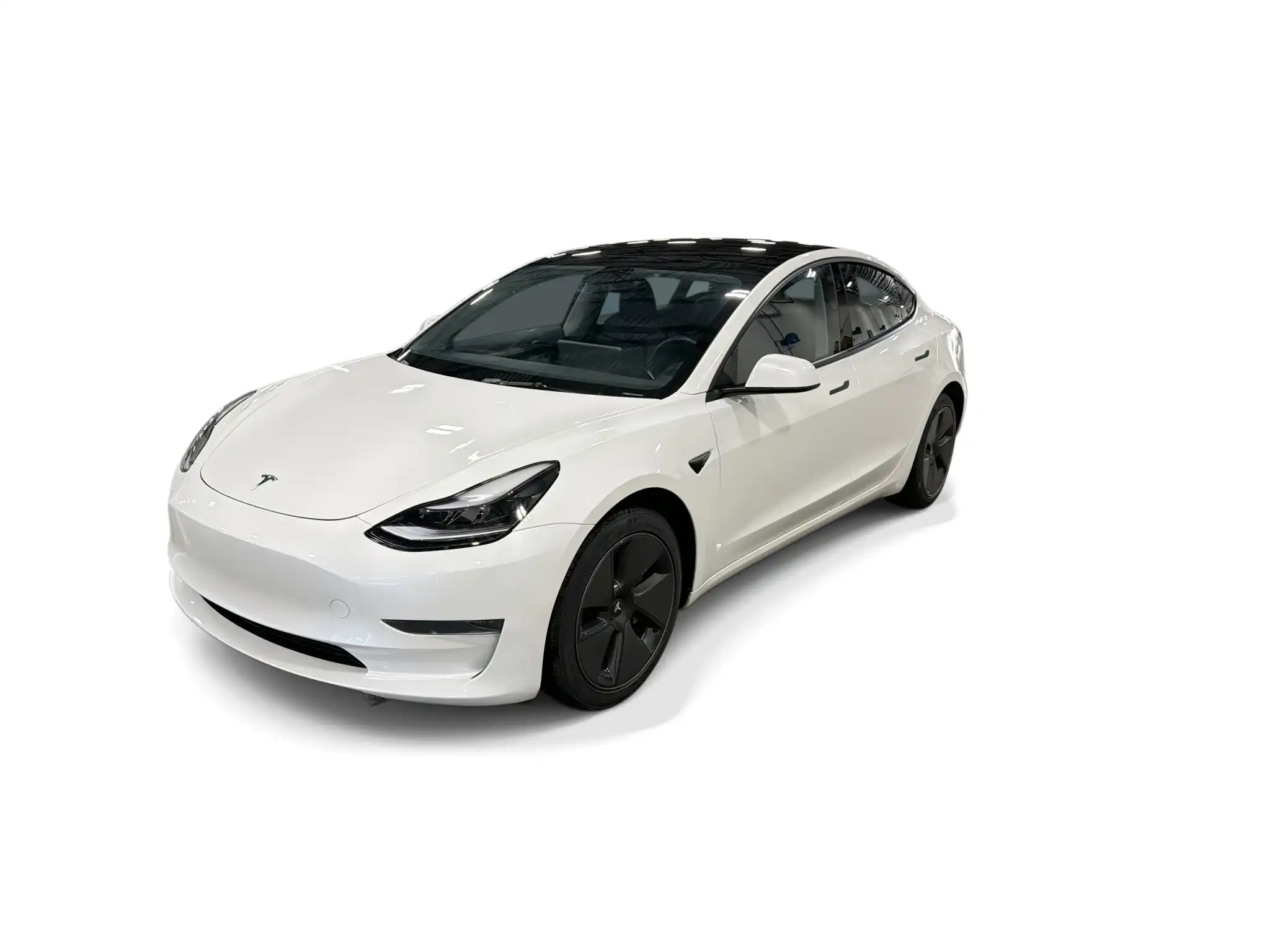 2023 Tesla Model 3 Base's photo