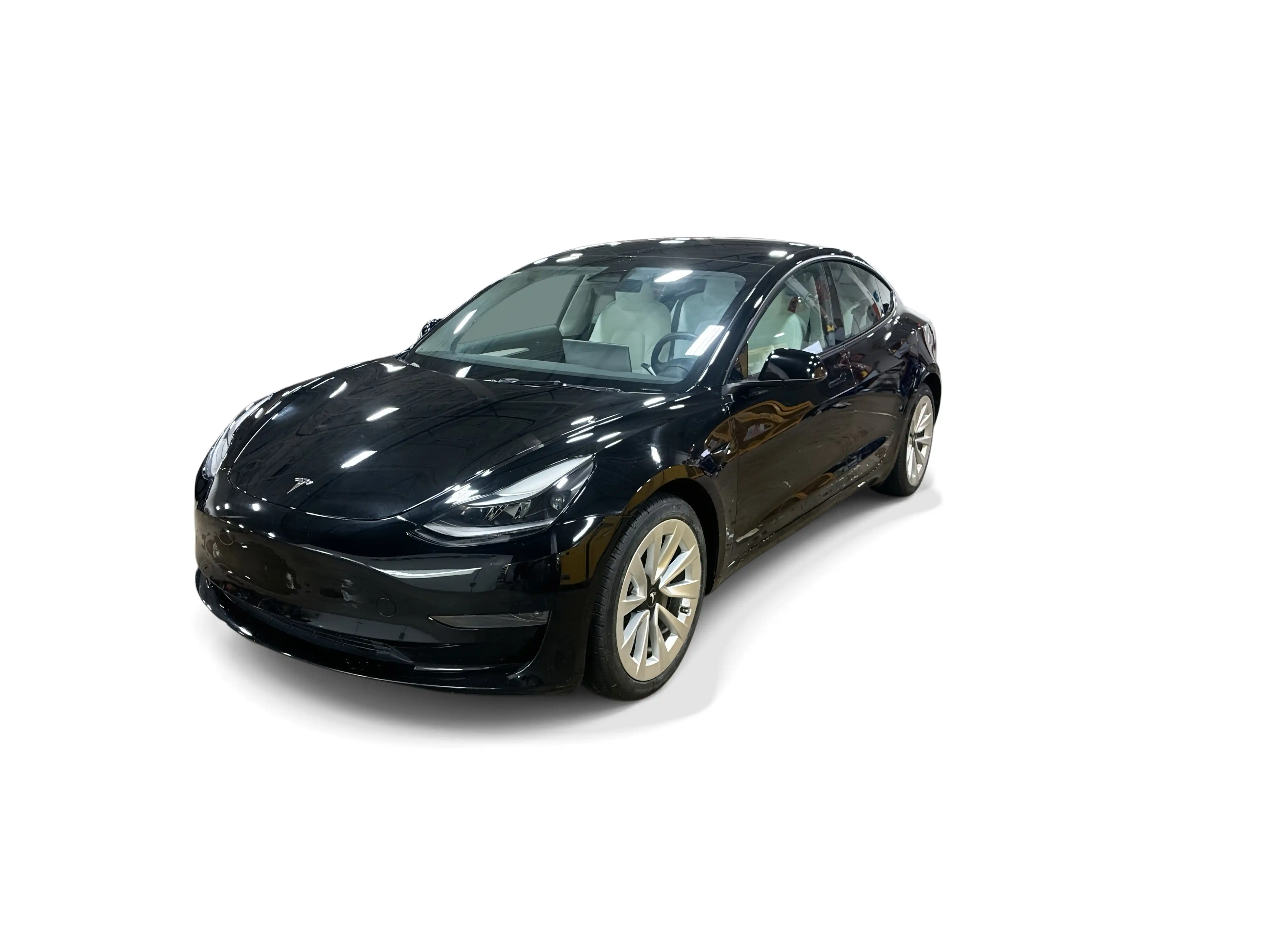 2023 Tesla Model 3 Base's photo