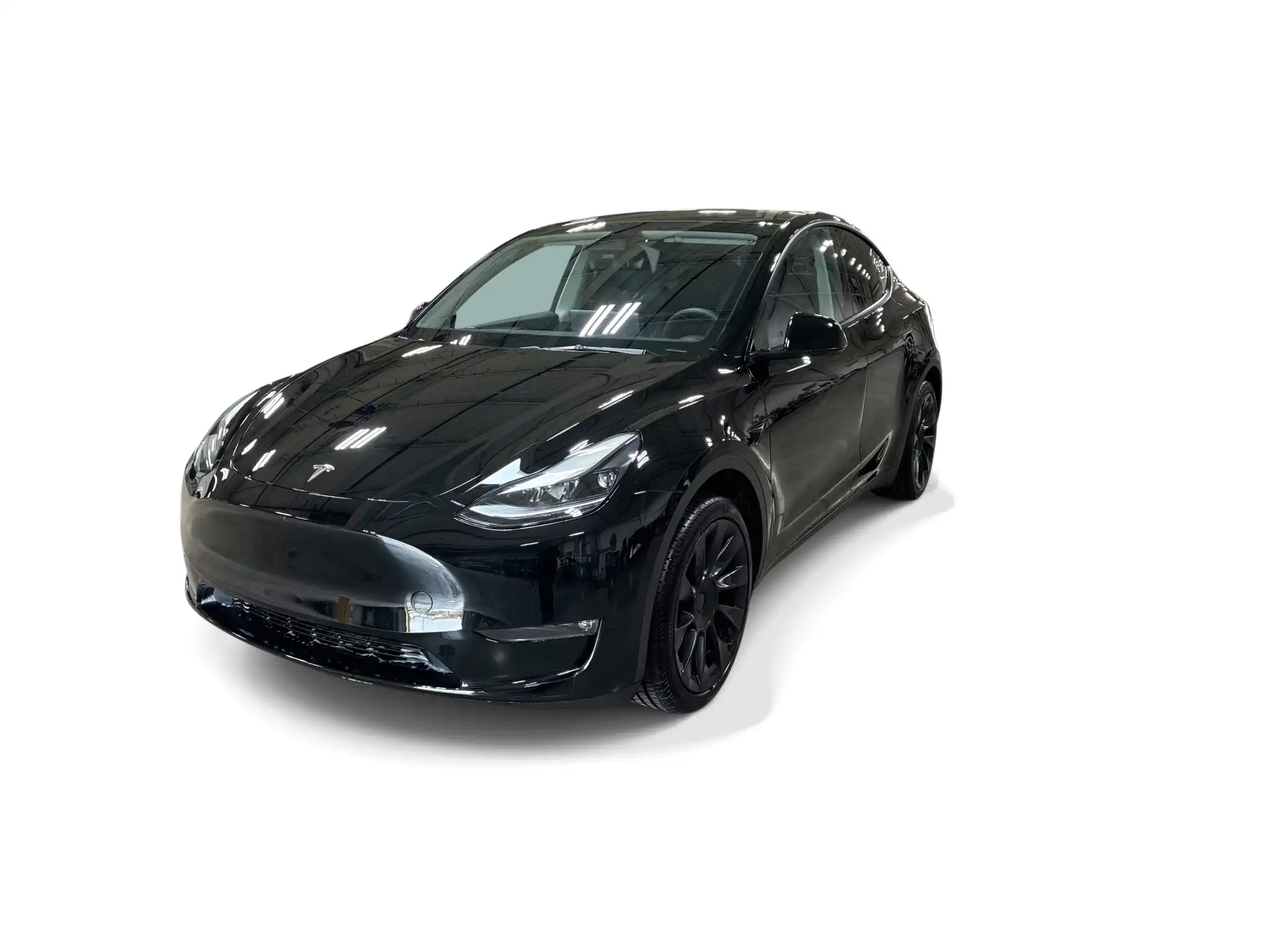2023 Tesla Model Y RWD's photo