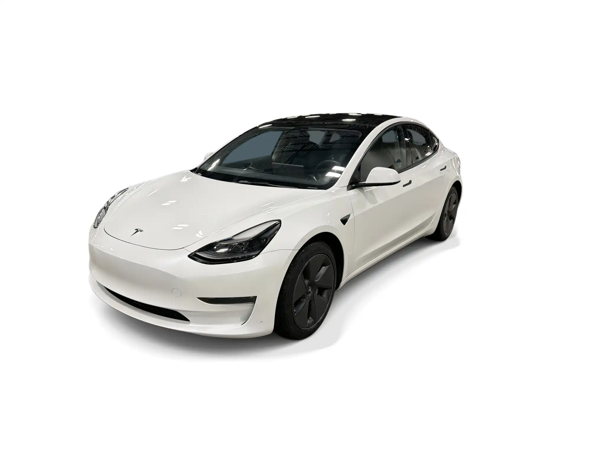 2023 Tesla Model 3 Base's photo
