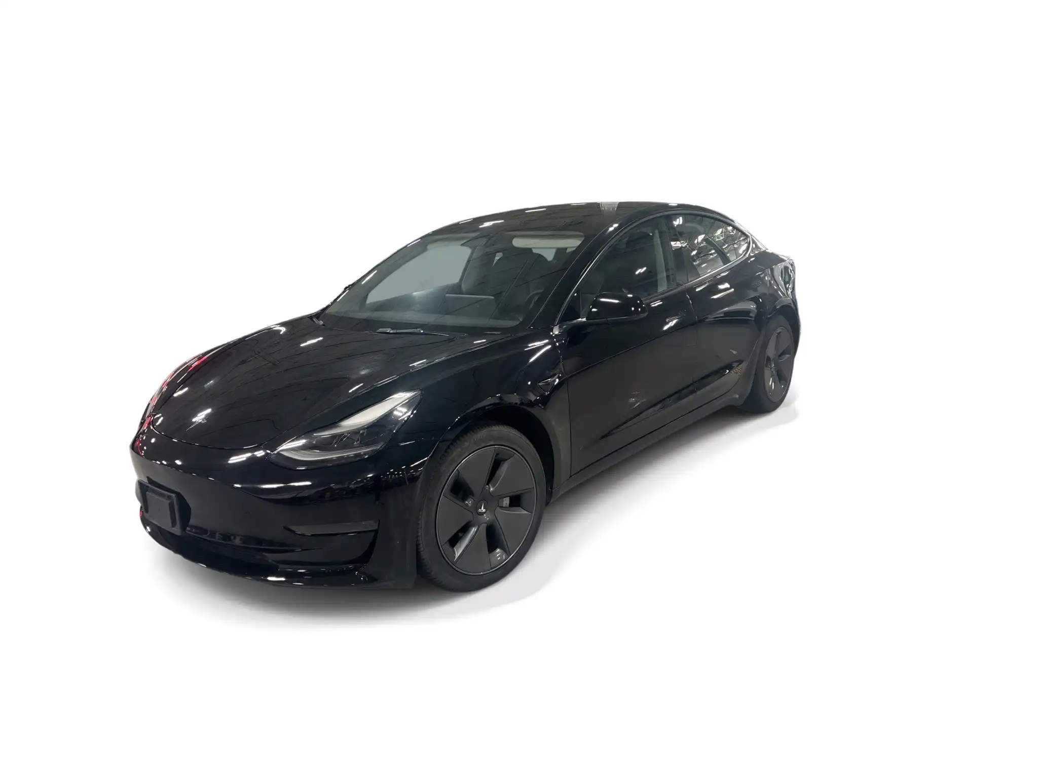 2023 Tesla Model 3 Base's photo