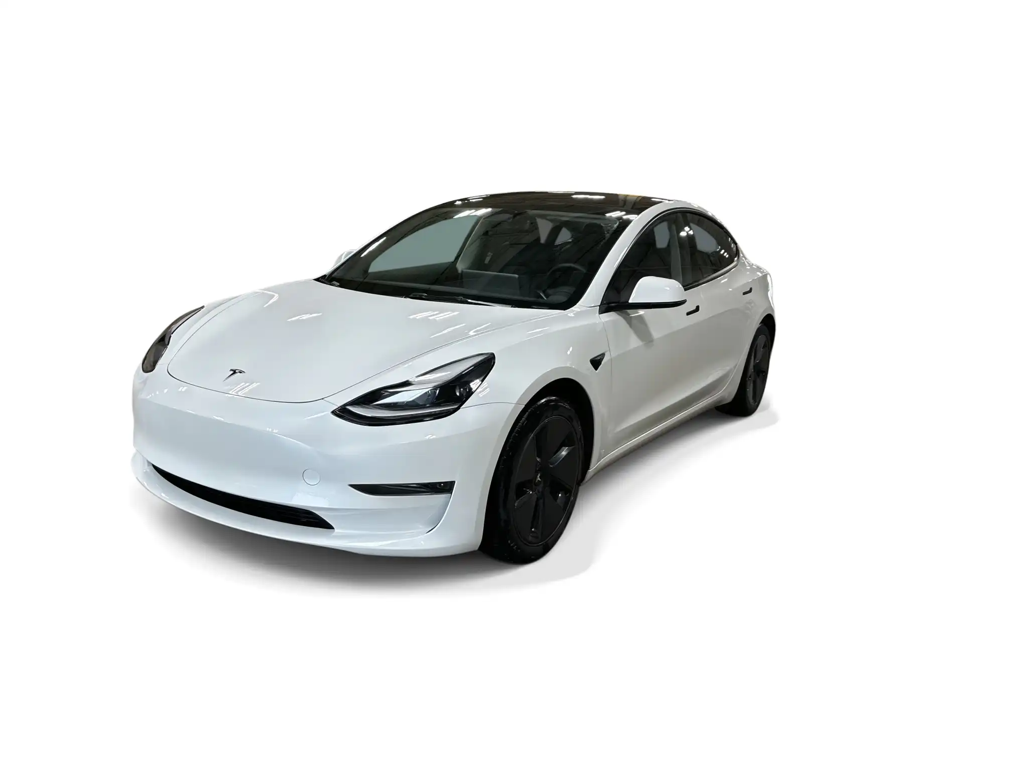 2023 Tesla Model 3 Base's photo